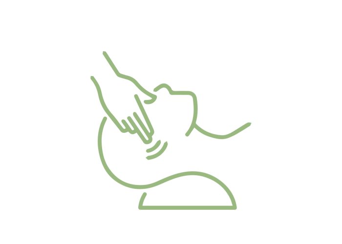 Ayurvedic Head Massage