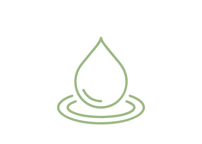 SomatoEmotional Release