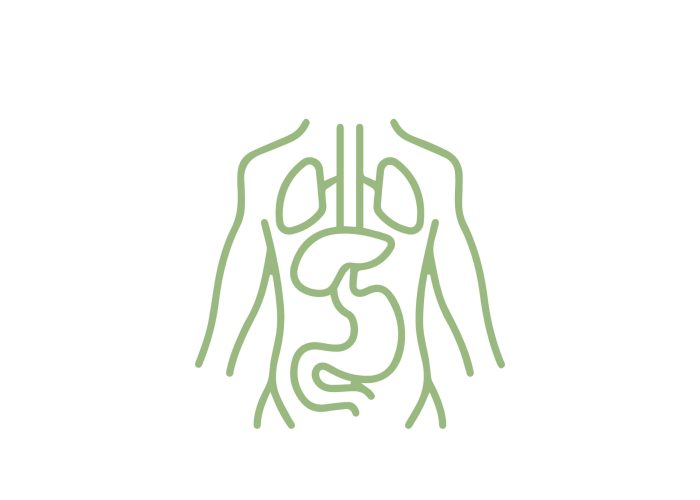 Visceral Manipulation